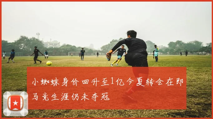 小蜘蛛身价回升至1亿今夏转会在即马竞生涯仍未夺冠