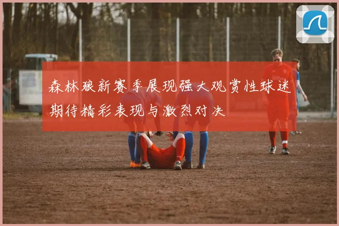 森林狼新赛季展现强大观赏性球迷期待精彩表现与激烈对决