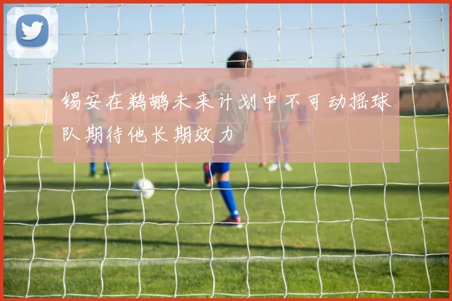 锡安在鹈鹕未来计划中不可动摇球队期待他长期效力